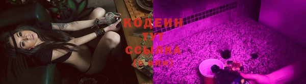 мяу мяу кристалл Арсеньев